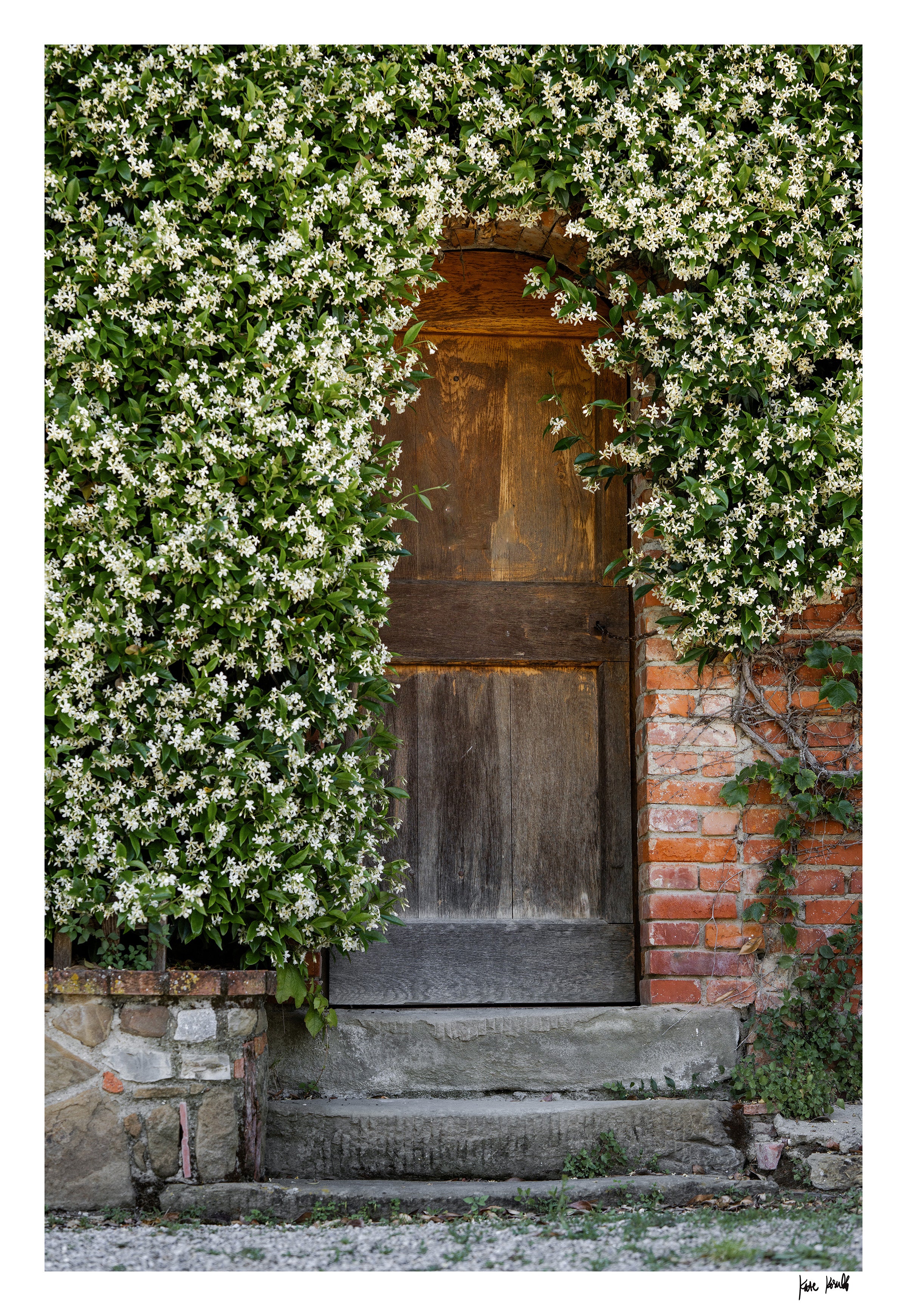 Farmhouse Door
