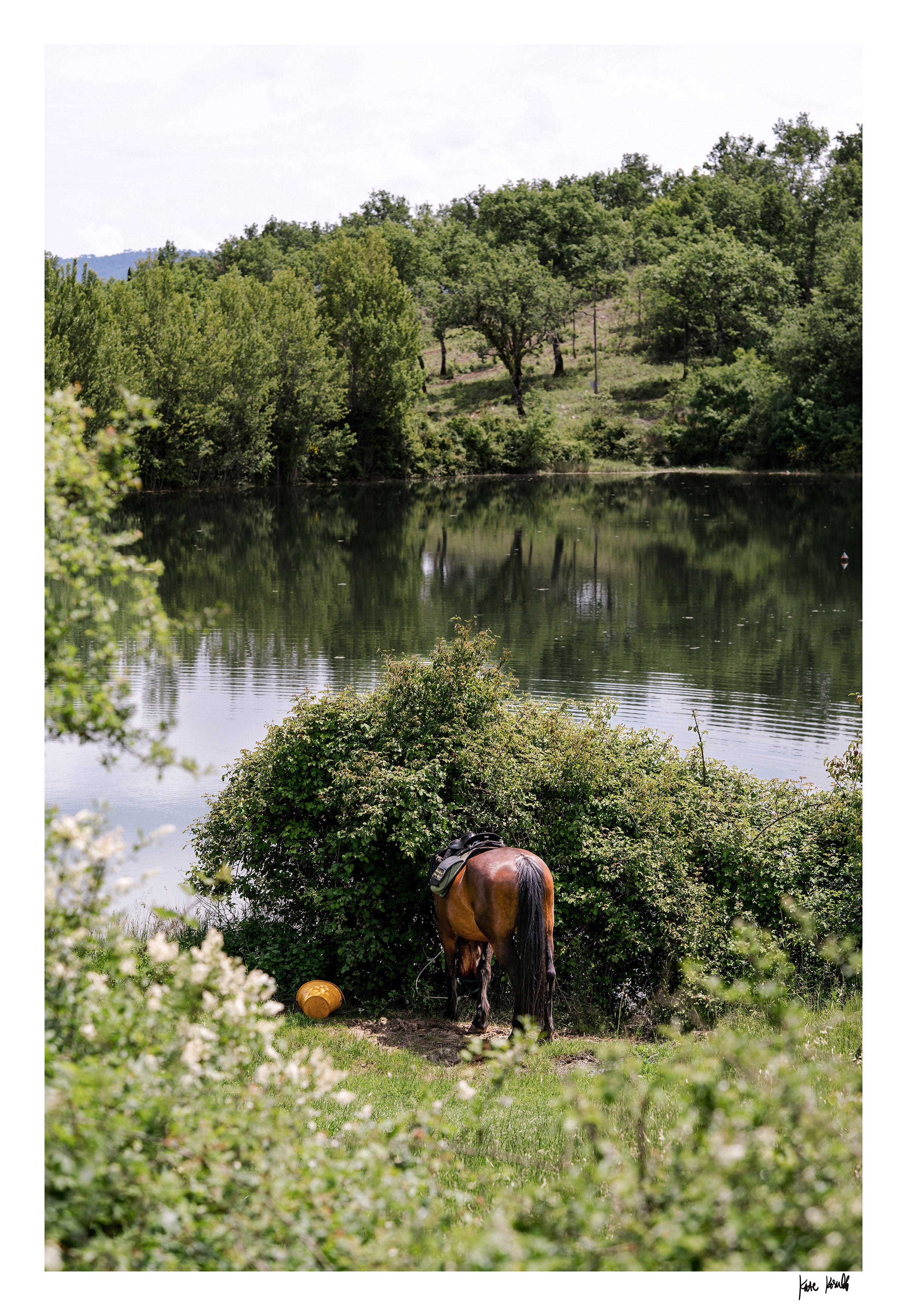 Lunch at the Lake