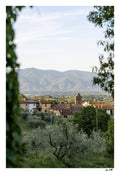 Village View