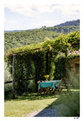 Tuscan Picnic