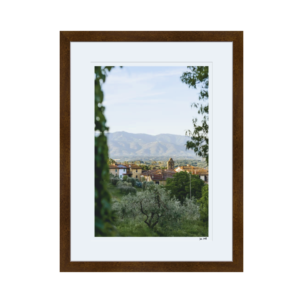 Village View