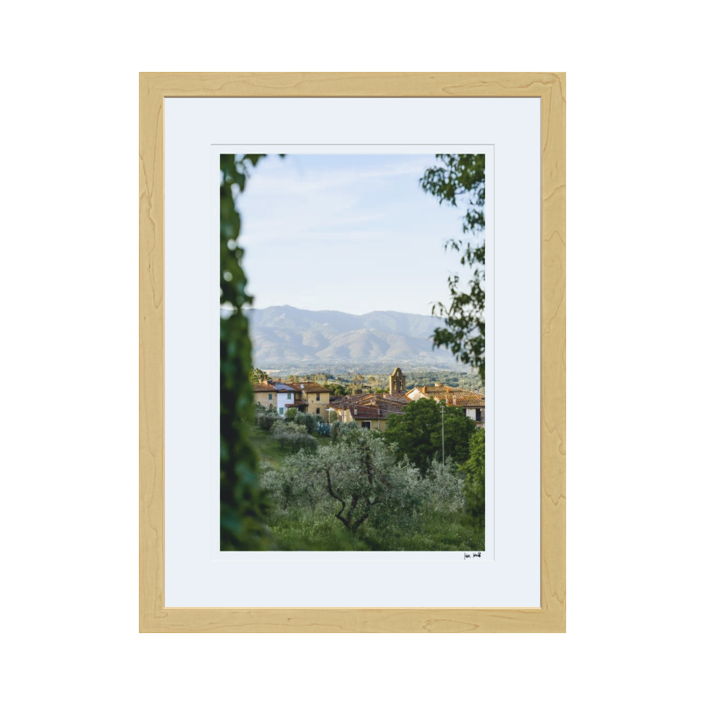 Village View